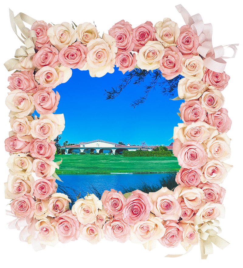 //lexicort.com/wp-content/uploads/2018/09/flowerframe.png